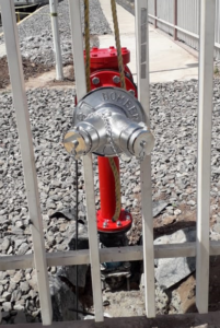 Toma Siamesa | Grupo Asham S.A. de C.V.